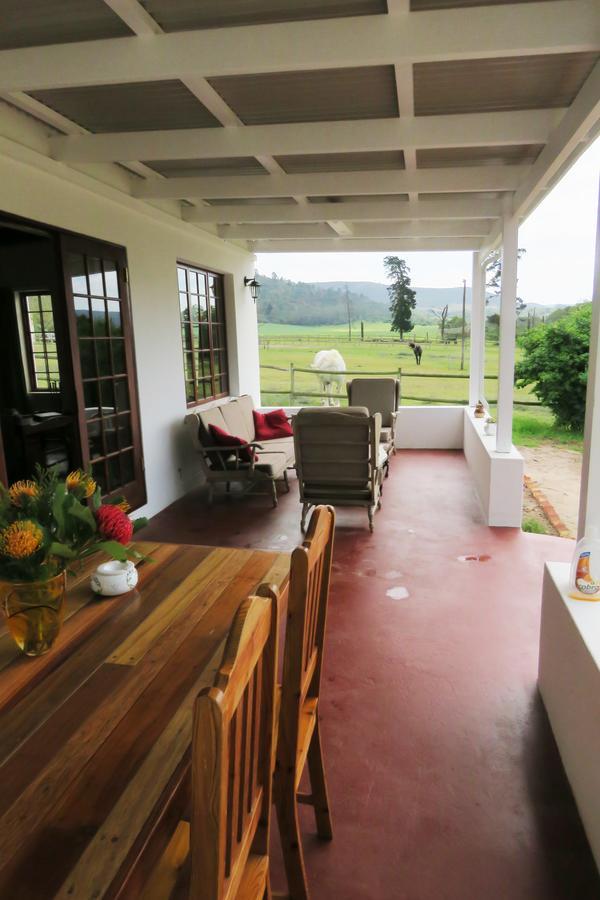 Out Of Plett Villa Plettenberg Bay Eksteriør bilde